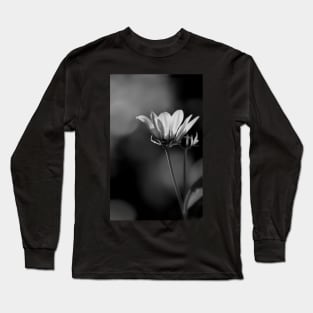 inner light Long Sleeve T-Shirt